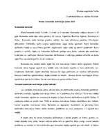 Eseja 'Manas komandas motivācijas plāns 2023', 1.