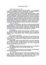 Referāts 'Plakantārpu tips', 1.