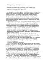 Referāts 'Viengadīgas puķes', 7.