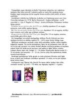 Referāts 'Viengadīgas puķes', 13.