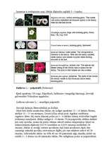 Referāts 'Viengadīgas puķes', 20.