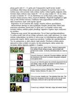 Referāts 'Viengadīgas puķes', 21.