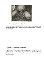 Referāts 'Viengadīgas puķes', 26.