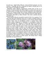 Referāts 'Viengadīgas puķes', 29.