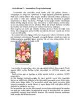 Referāts 'Viengadīgas puķes', 31.