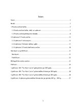 Referāts 'SIA "X" finanšu analīze', 2.