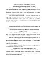 Referāts 'SIA "X" finanšu analīze', 10.