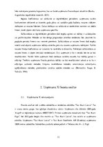 Referāts 'SIA "X" finanšu analīze', 12.