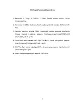 Referāts 'SIA "X" finanšu analīze', 23.