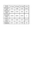 Referāts 'SIA "X" finanšu analīze', 69.