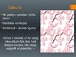Prezentācija 'Raksts, klājošs, dekoratīvs raksts, ornaments, dekors - Japāna', 5.