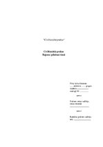 Prakses atskaite 'Civiltiesiskā prakse rajona (pilsētas) tiesā', 1.