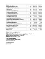 Referāts 'Uzņēmuma "Dobeles Dzirnavnieks" finansiālā stāvokļa analīze', 9.