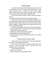 Referāts 'Uzņēmuma "Dobeles Dzirnavnieks" finansiālā stāvokļa analīze', 16.