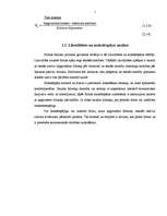 Referāts 'Uzņēmuma "Dobeles Dzirnavnieks" finansiālā stāvokļa analīze', 21.