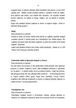 Referāts 'Privātuzņēmēju loma tirgus ekonomikā', 16.