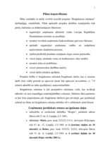 Referāts 'Projekta "Bruģis" realizācija', 3.