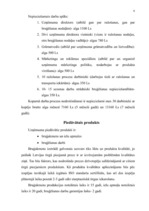 Referāts 'Projekta "Bruģis" realizācija', 6.