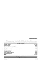 Referāts 'Projekta "Bruģis" realizācija', 13.