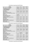 Referāts 'Projekta "Bruģis" realizācija', 17.