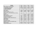 Referāts 'Projekta "Bruģis" realizācija', 18.
