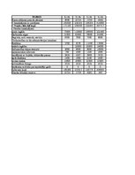 Referāts 'Projekta "Bruģis" realizācija', 19.