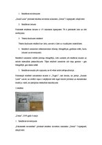 Referāts 'Politisko reklāmu kontentanalīze presē', 8.