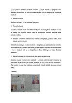 Referāts 'Politisko reklāmu kontentanalīze presē', 11.