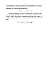 Referāts 'Mārketinga kompleksa izstrāde SIA "Līvas grupa" ienākšanai Norvēģijā', 22.