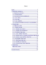 Referāts 'Internets kā tūrisma informācijas izplatīšanas veids - plusi un mīnusi', 2.