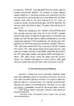 Referāts 'Internets kā tūrisma informācijas izplatīšanas veids - plusi un mīnusi', 5.