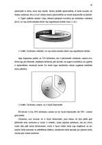 Referāts 'Veikalu tīkla "Saulīte" motivācijas līmeņa paaugstināšanas projekts', 29.