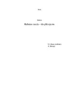 Referāts 'Kabatas nauda, tās plānojums', 1.