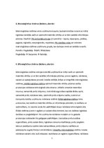 Konspekts 'Konspekts loģistikas eksāmenam', 5.