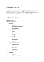 Konspekts 'Konspekts loģistikas eksāmenam', 6.