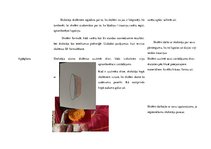 Konspekts 'Mājturības un tehnoloģiju mācību saturs un metodika sākumskolā', 3.