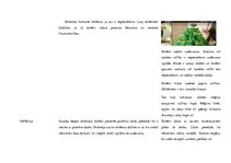 Konspekts 'Mājturības un tehnoloģiju mācību saturs un metodika sākumskolā', 9.