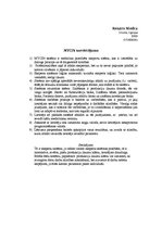 Konspekts 'MYCIN sistēmas novērtējums', 1.