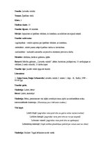 Konspekts 'Latviešu valoda 2.klasei. Īpašības vārdi', 1.