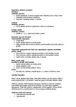 Konspekts 'Vērtēšana sporta stundās', 4.