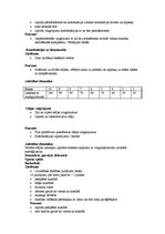 Konspekts 'Vērtēšana sporta stundās', 7.