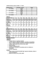 Konspekts 'Vērtēšana sporta stundās', 13.