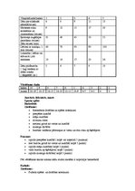 Konspekts 'Vērtēšana sporta stundās', 14.