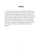 Referāts 'Romāns "Parfīms - stāsts par kādu slepkavu"', 9.