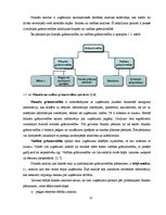 Diplomdarbs 'Uzņēmuma "XYZ" finansiālā stāvokļa novērtējums', 10.