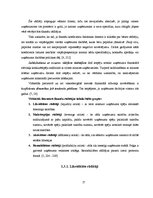 Diplomdarbs 'Uzņēmuma "XYZ" finansiālā stāvokļa novērtējums', 17.