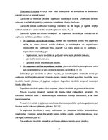 Diplomdarbs 'Uzņēmuma "XYZ" finansiālā stāvokļa novērtējums', 18.