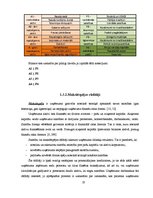 Diplomdarbs 'Uzņēmuma "XYZ" finansiālā stāvokļa novērtējums', 23.