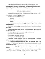 Diplomdarbs 'Uzņēmuma "XYZ" finansiālā stāvokļa novērtējums', 27.