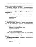 Diplomdarbs 'Uzņēmuma "XYZ" finansiālā stāvokļa novērtējums', 30.